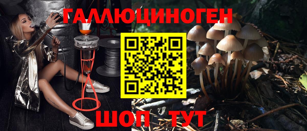 Кушва  Псилоцибиновые грибы мицелий  Вход с VPN  Галлюциногенные грибы мухоморы 
